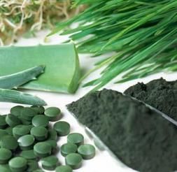 Chlorella Suplement